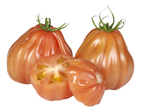tomaten Coeur de Boeuf