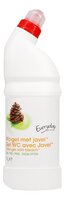 wc gel eucalyptus&den javel