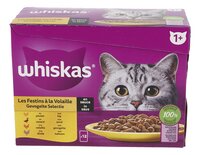 1+ jaar Gevogelte Saus