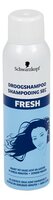 droogshampoo Fresh