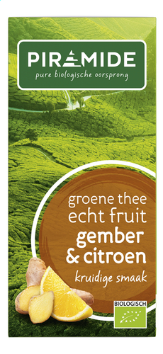PIRAMIDE groene thee gemb-citr.Bio