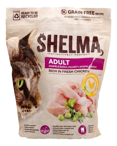 Shelma volwassen kat kip