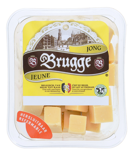 Brugge jong blokjes