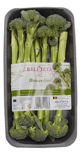  Broccolini