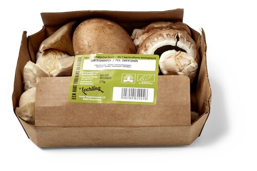  Champignons mix Bio