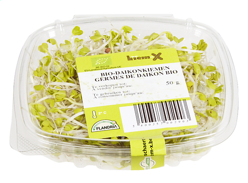  Germes De Daikon Bio