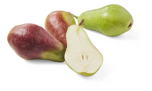  poire Queen's Forelle