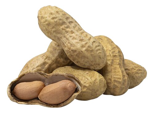 Pépite -- Arachides bio en coque Vrac (origine Egypte) - 2 x 2,5 kg