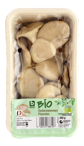 BONI BIO pleurotes