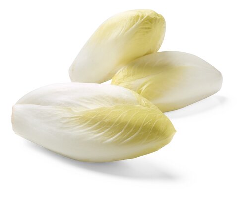  chicons extra Flandria