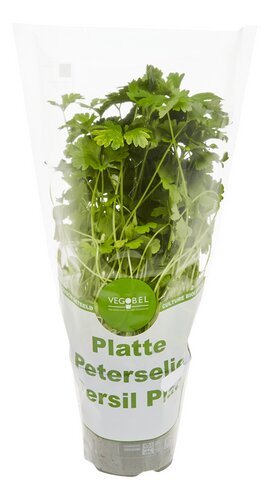  Persil plat Bio
