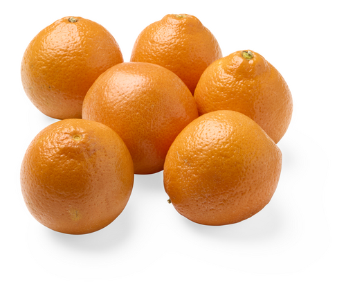  MINNEOLA