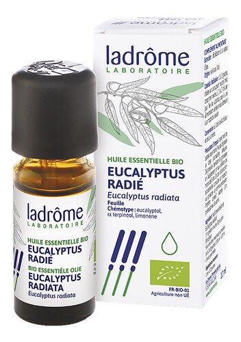 LADROME eucalyptus radiata hui.ess.