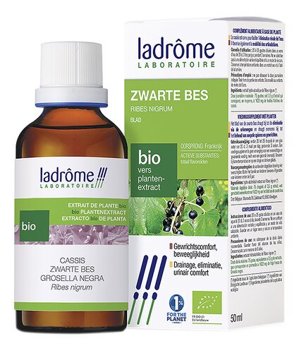 LADROME cassis nigrum Bio