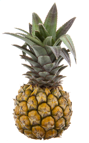  Ananas mini