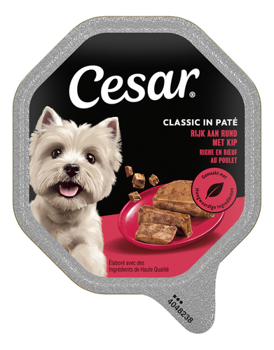 CESAR Classics rund vlootje
