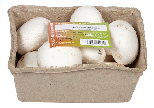  Champignons blancs Bio