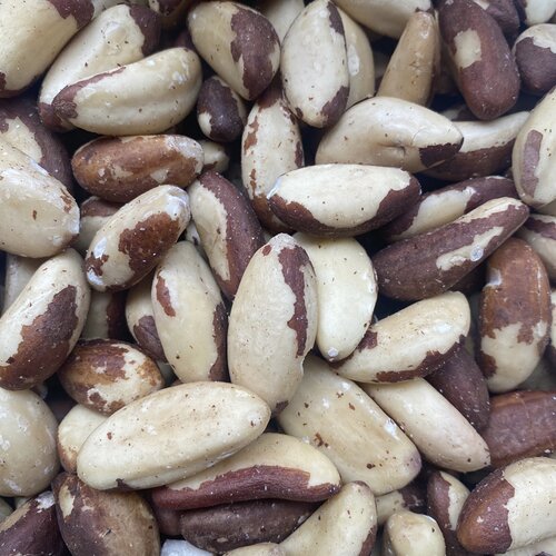 Noix de Brésil Bio
