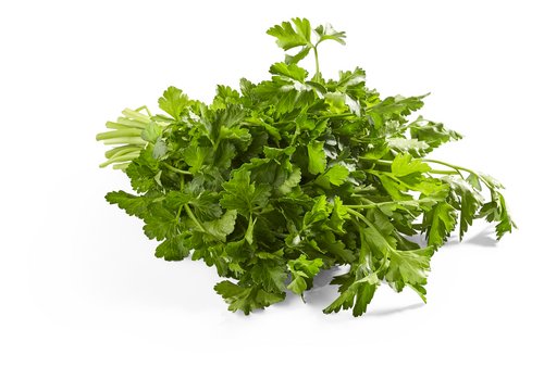  bio persil plat botte