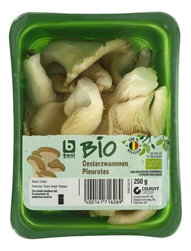 BONI BIO oesterzwammen