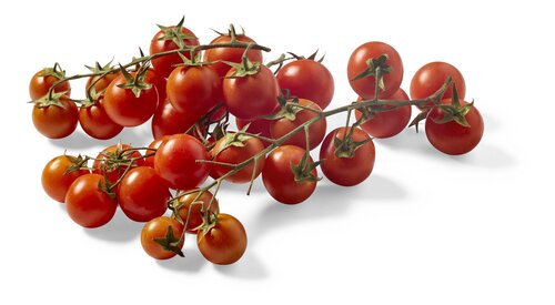  tomates cérises en grappe Bio