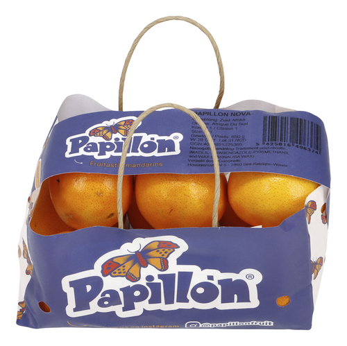 PAPILLON Mandarine