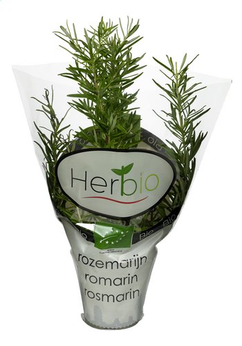 HERBIO romarin Bio