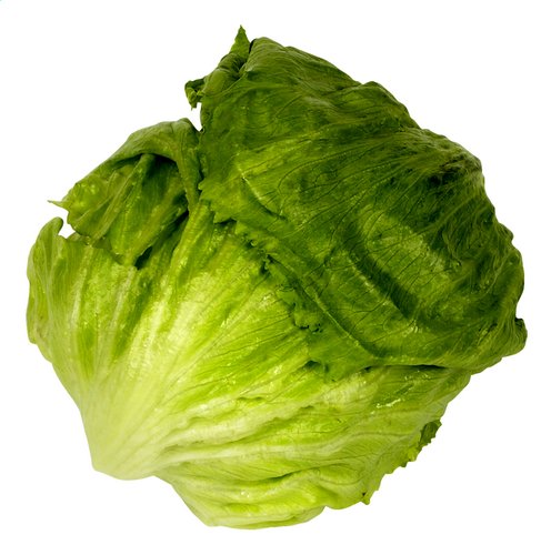  Bio Laitue iceberg