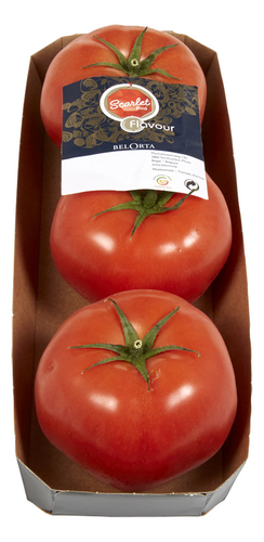  tomates coeur de boeuf Scarlet Red