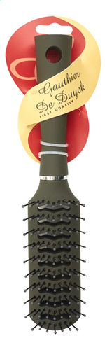 GDD doozy brosse fohn 3166