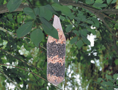 YANA High Energy bâton