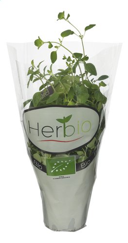 HERBIO Origan Bio