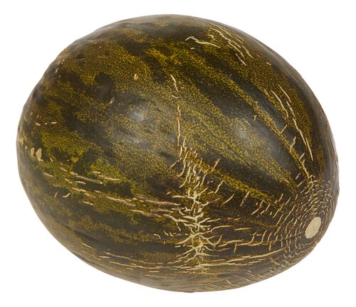 BONI melon Piel de Sapo