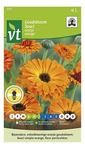 VT bio souci orange