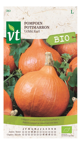 VT bio potimarron