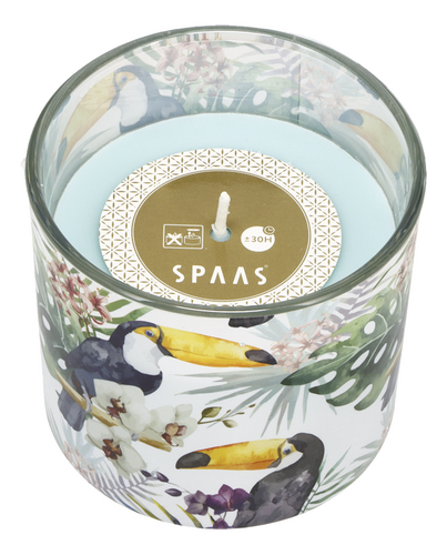 SPAAS bougie verre coloré tukan