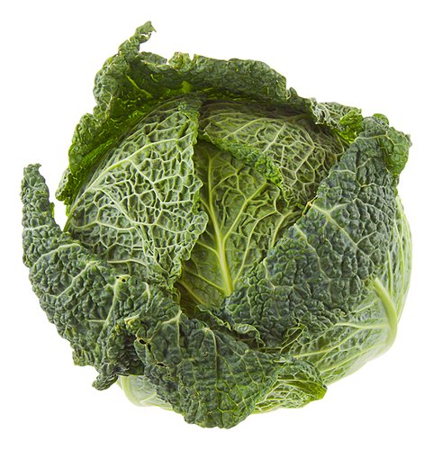  Chou vert Chou de Savoie