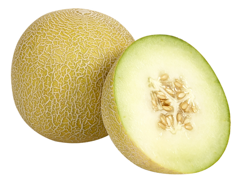  Melon Galia