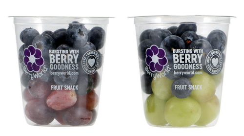  shaker myrtilles raisins