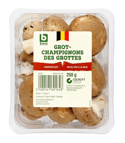 BONI champignons de grotte