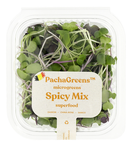 PACHAGREENS Micropous.lég.mix spicy