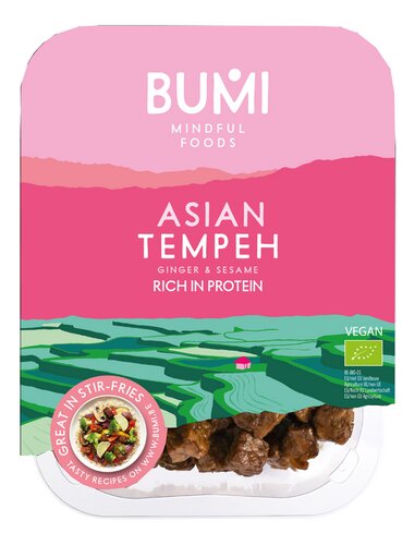 BUMI tempehblokjes Aziatisch Bio 175g
