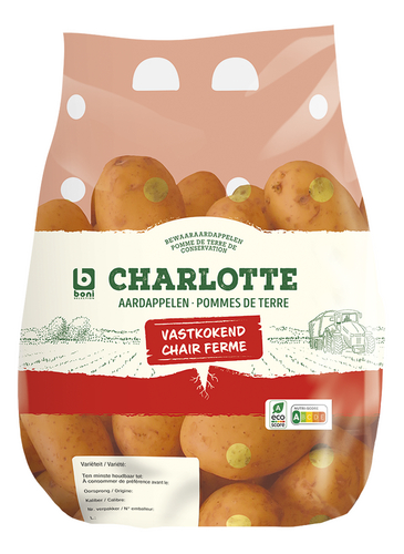 BONI p.d.t. charlotte