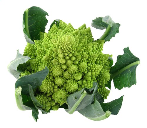  Romanesco Bio