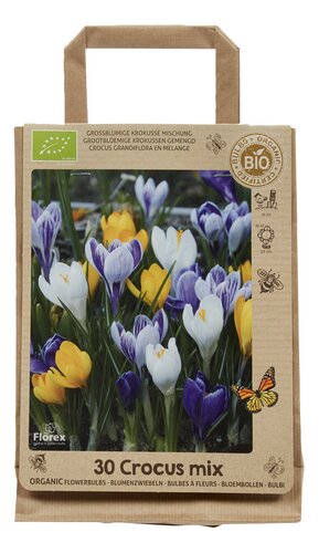  bulbe Crocus Collection bio