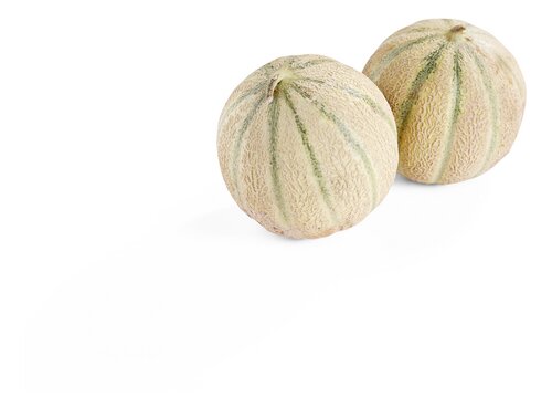  Melon Charentais Bio