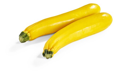  Courgette jaune Bio