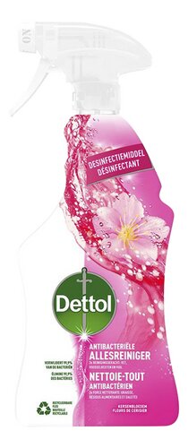 DETTOL power&fresh spray kersenbl.