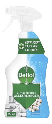 DETTOL Power&Fresh spray katoen
