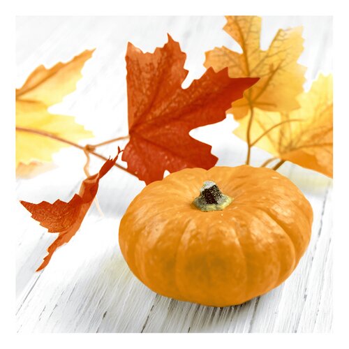 Duni serv. Pumpkin Leaf 3l 24x24cm